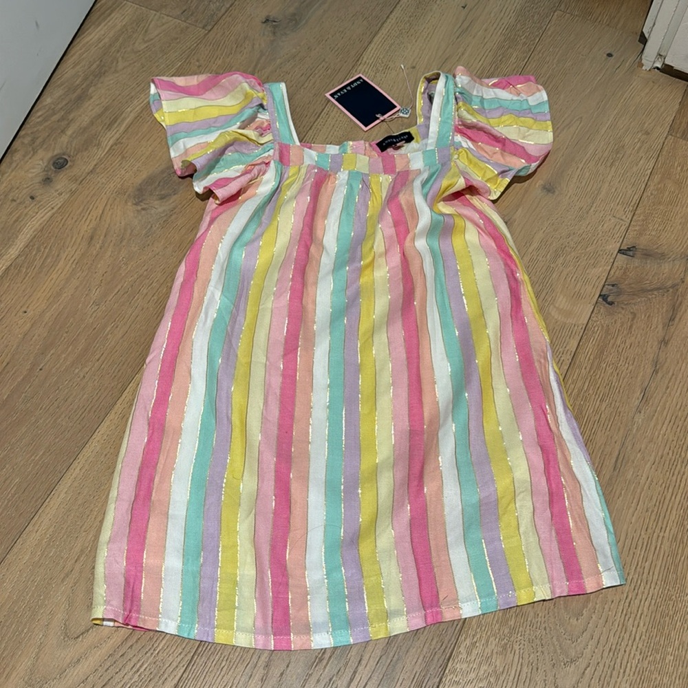 Rainbow Andy & Evan dress